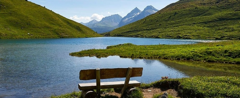 Raka čeka iznenađenje u ljubavi, Lava kolege sabotiraju, Škorpiju prati sreća (VIDEO)