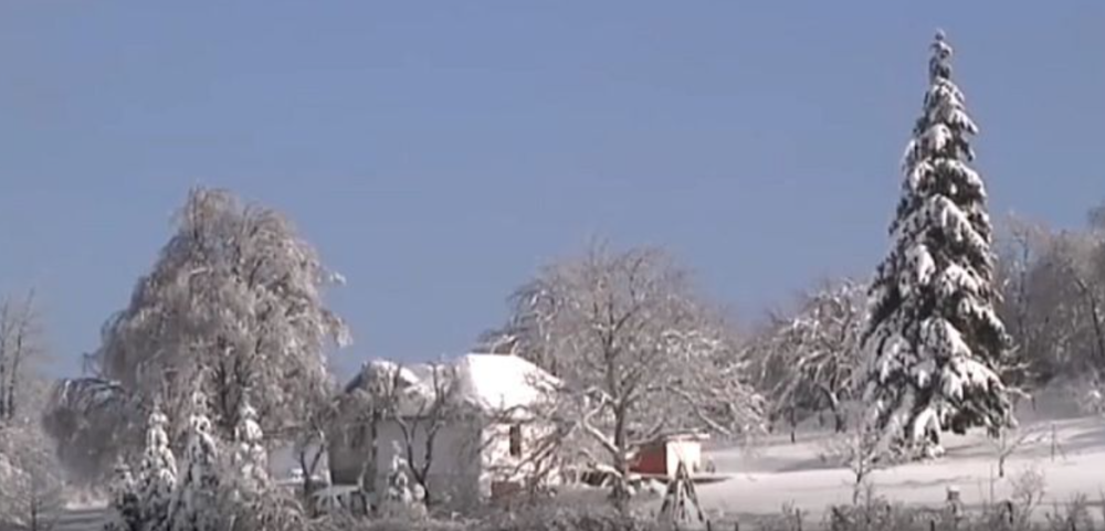 Totalni kolaps zbog snega: 1.500 domaćinstva već sedmi dan nema struju