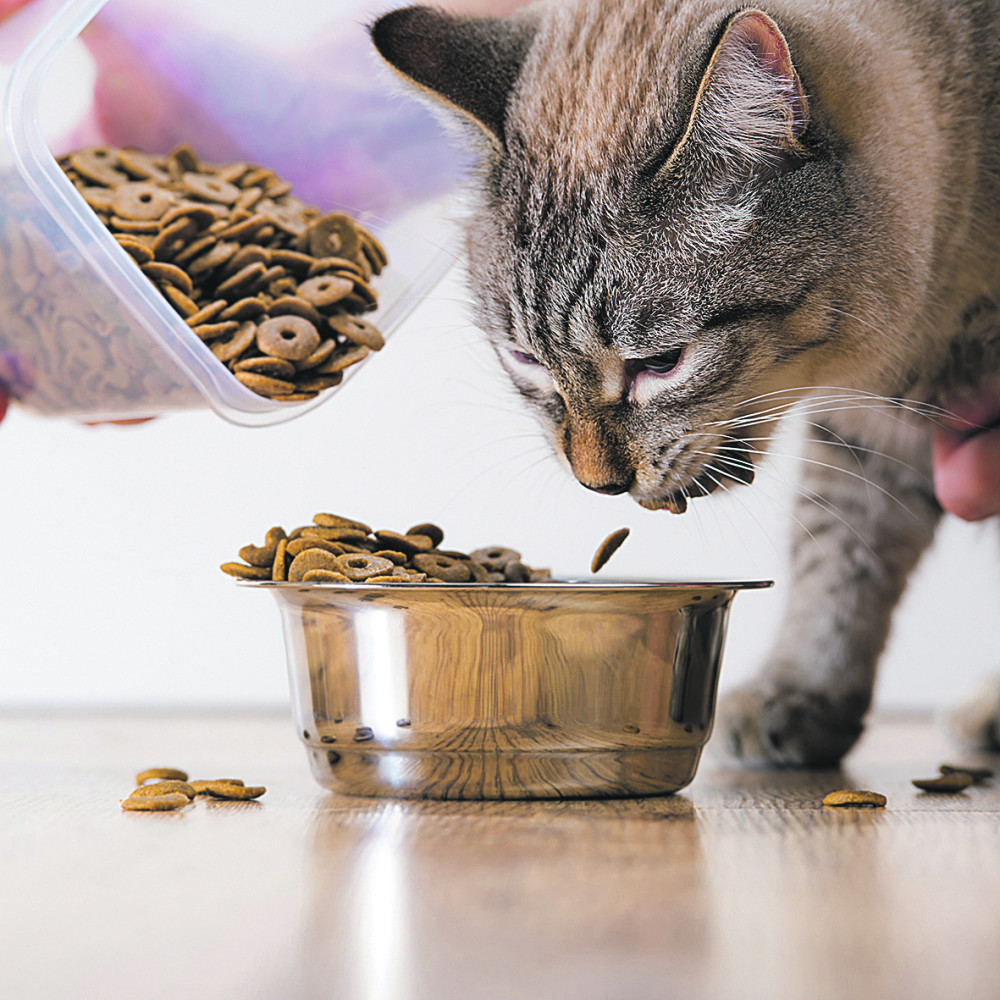 Kad je hladno, više krkaju