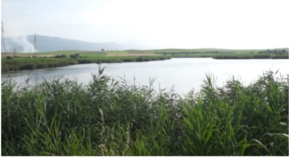 Tužilac traži doživotnu robiju!