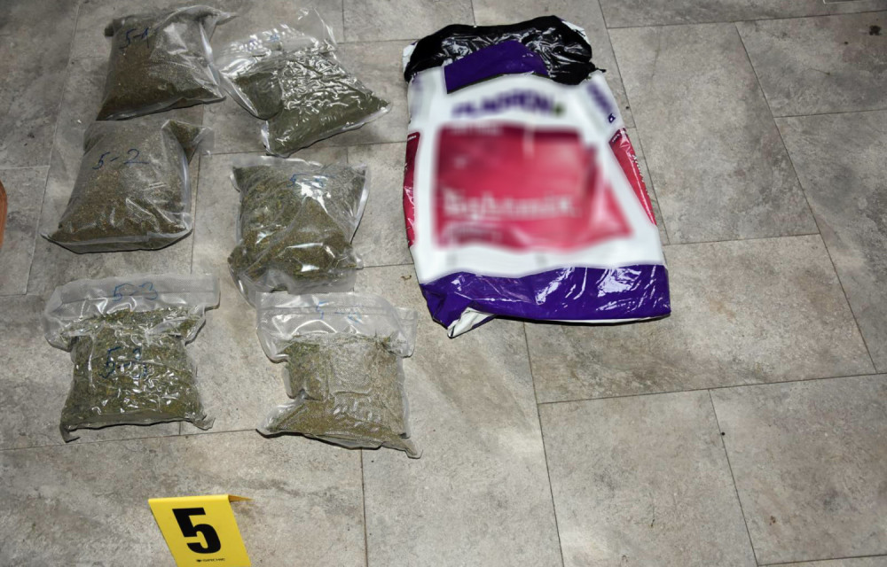 U Obrenovcu otkrivena velika laboratorija za drogu: Zaplenjeno je čak 700 stabljika marihuane (FOTO)