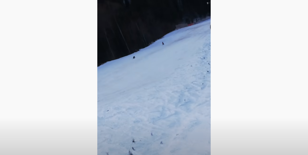 Medved napao skijaša na stazi u jednom od najpoznatijih skijališta u regionu! (VIDEO)