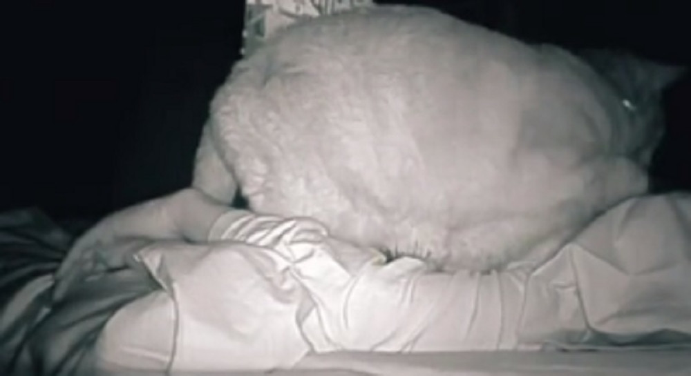 Žena se svako jutro budila umorna, a onda je odlučila da stavi kameru u spavaću sobu, a kada je pogledala snimak, misterija je bila rešena (VIDEO)