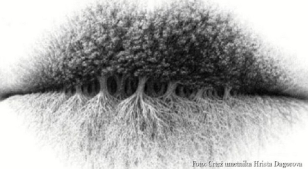 Šta vidite na slici, otkriće kakva vas budućnosti čeka