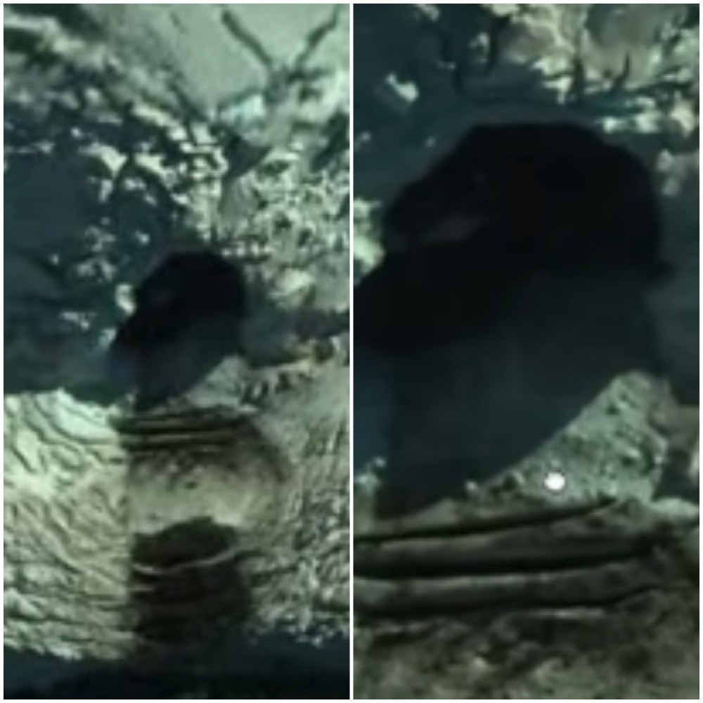 Pojavila ponovo posle 12 godina: Da li je to tajna skrivena baza?